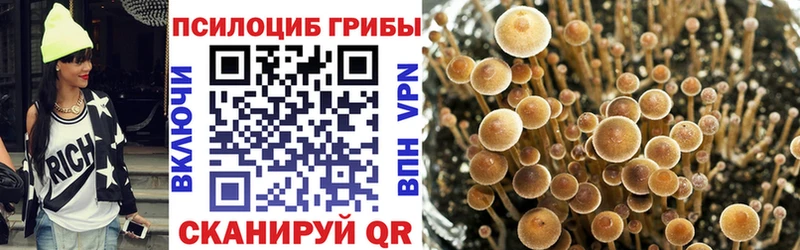 Купить где  Кремёнки  Галлюциногенные грибы ЛСД 